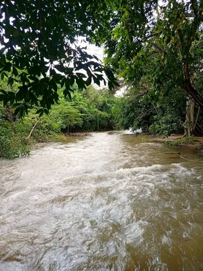 สวน ช.ชนาภา River รูปที่ 9