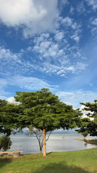 ลานกางเต็นท์แหลมตะเคียนซีวิว รูปที่ 5