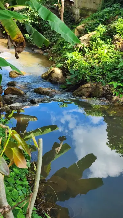 ตาสร้อย แค้มปิ้ง เชียงราย รูปที่ 6
