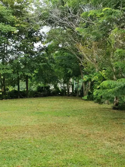 บ้านไร่เหลืองชัชวาลย์ (Yellow Cottage) รูปที่ 5