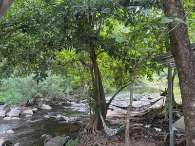 บ้านไร่บุญส่ง@สวนผึ้ง รูปที่ 4