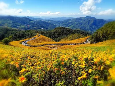 จุดบริการลานกางเต็นท์ วนอุทยานทุ่งบัวตอง รูปที่ 1