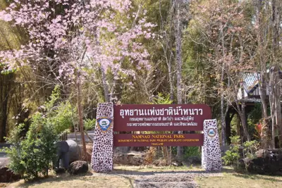 ลานกางเต็นท์ ที่ทำการอุทยานแห่งชาติน้ำหนาว รูปที่ 1