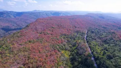 ลานกางเต็นท์ ที่ทำการอุทยานแห่งชาติน้ำหนาว รูปที่ 5