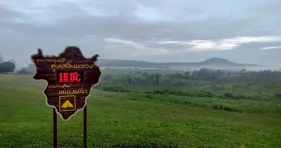 ทุ่งโนนสน อุทยานแห่งชาติทุ่งแสลงหลวง รูปที่ 9
