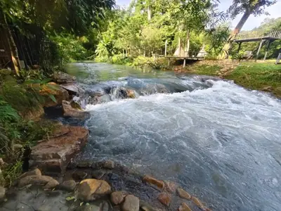 ลานธารดาว โบฮีเมี่ยน แคมป์ รูปที่ 6