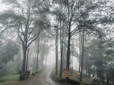 ลานกางเต็นท์ลานสวนสน อุทยานแห่งชาติตากสินมหาราช รูปที่ 4