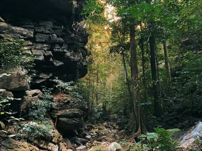 ลานกางเต็นท์ลานสวนสน อุทยานแห่งชาติตากสินมหาราช รูปที่ 8