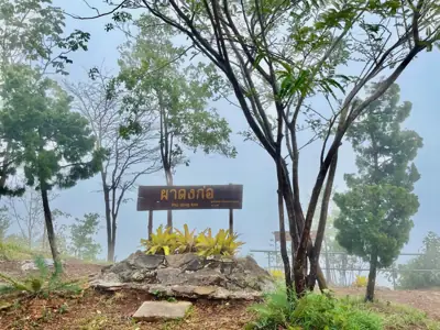 ลานกางเต็นท์ภูผาเหล็ก รูปที่ 7