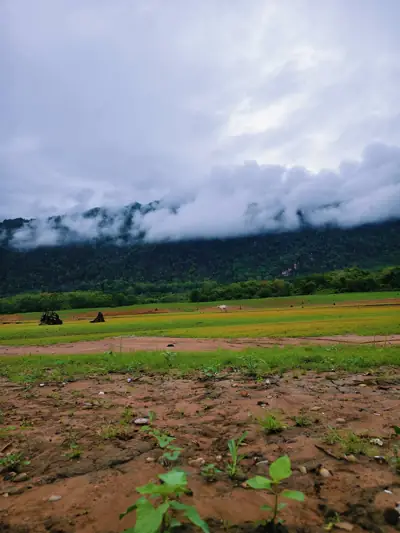 สวนลุงเป้แคมป์ รูปที่ 5