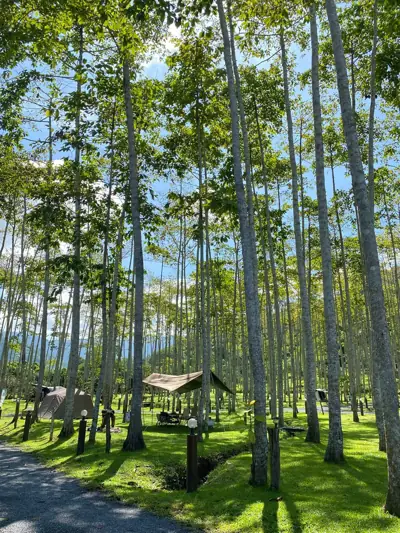 Na-Wana ณ วนา Camping Ground รูปที่ 1