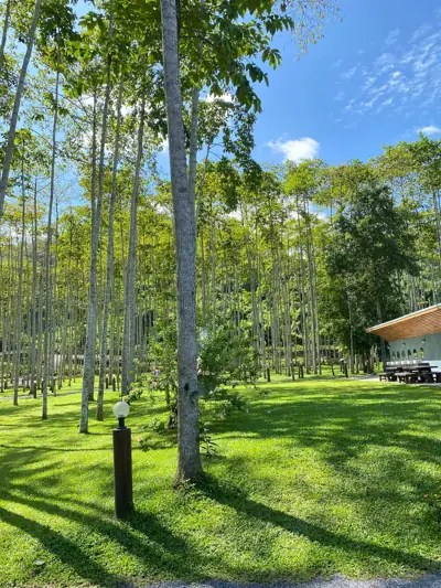 Na-Wana ณ วนา Camping Ground รูปที่ 2