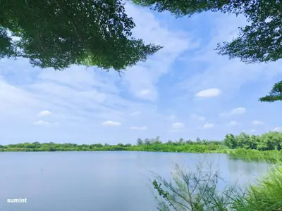 ลานกางเต็นท์ ฟาร์มนายพล รูปที่ 2