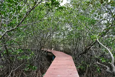 ลานกางเต็นท์หาดแหลมศาลา อุทยานแห่งชาติเขาสามร้อยยอด รูปที่ 10