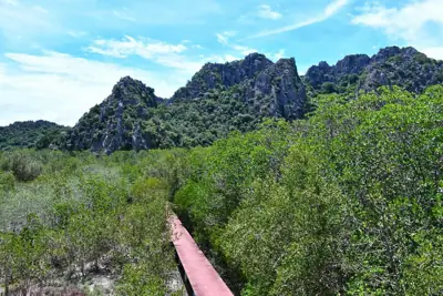 ลานกางเต็นท์หาดแหลมศาลา อุทยานแห่งชาติเขาสามร้อยยอด รูปที่ 9