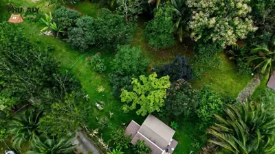 ภูตาลี่ คาเฟ่ Phutaly Cafe รูปที่ 3