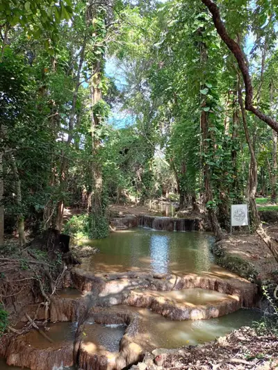 บ้านเหมือนฝัน Camping & farm รูปที่ 1