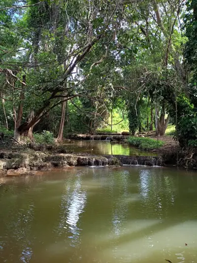 บ้านเหมือนฝัน Camping & farm รูปที่ 2