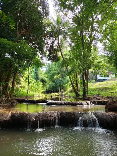 บ้านเหมือนฝัน Camping & farm รูปที่ 3
