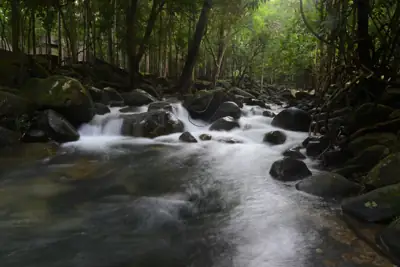 ลานกางเต็นท์เขาชะเมา รูปที่ 1