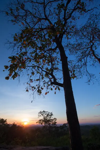 ลานกางเต็นท์ภูพาน รูปที่ 1