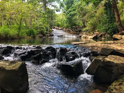 ลานกางเต็นท์ภูพาน รูปที่ 5