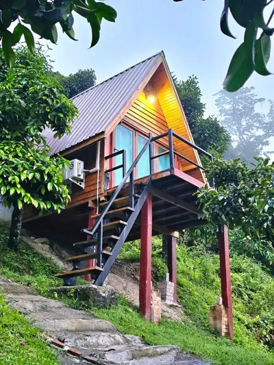 เดอะ เบด ฟอเรส แคมป์ ลานสกา รูปที่ 2