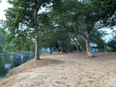 ต้นข้าวริเวอร์แคมป์ เขาลูกช้าง TONKAO RIVER CAMP ( Khao Luk Chang ) รูปที่ 1