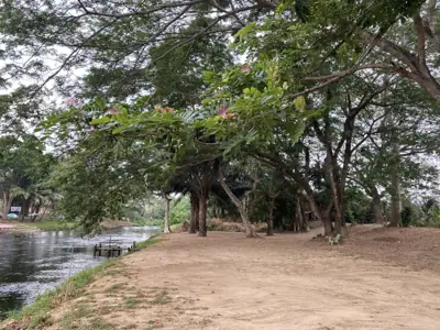 ต้นข้าวริเวอร์แคมป์ เขาลูกช้าง TONKAO RIVER CAMP ( Khao Luk Chang ) รูปที่ 2