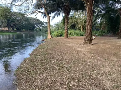 ต้นข้าวริเวอร์แคมป์ เขาลูกช้าง TONKAO RIVER CAMP ( Khao Luk Chang ) รูปที่ 4