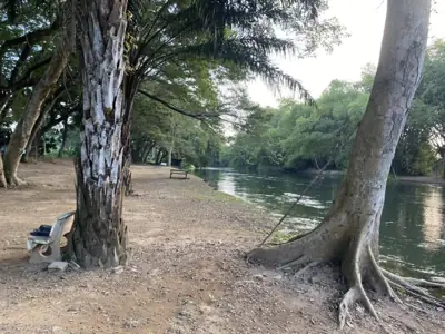ต้นข้าวริเวอร์แคมป์ เขาลูกช้าง TONKAO RIVER CAMP ( Khao Luk Chang ) รูปที่ 5