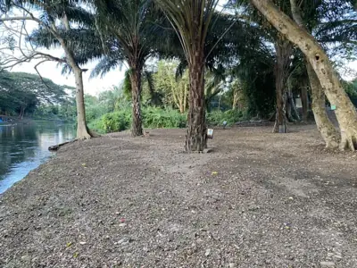 ต้นข้าวริเวอร์แคมป์ เขาลูกช้าง TONKAO RIVER CAMP ( Khao Luk Chang ) รูปที่ 7