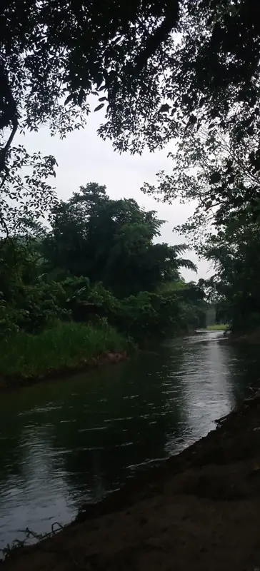 Stream Camping สวนผึ้ง เทือกเขาตะนาวศรี รูปที่ 1