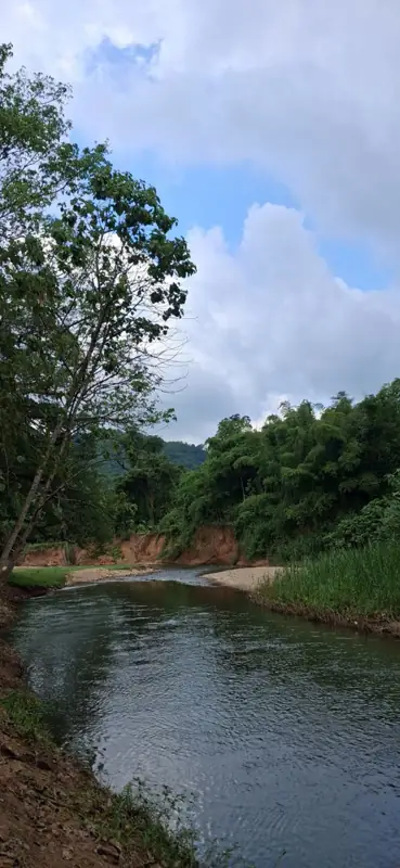 Stream Camping สวนผึ้ง เทือกเขาตะนาวศรี รูปที่ 6