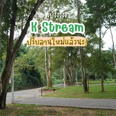 Stream Camping สวนผึ้ง เทือกเขาตะนาวศรี รูปที่ 8
