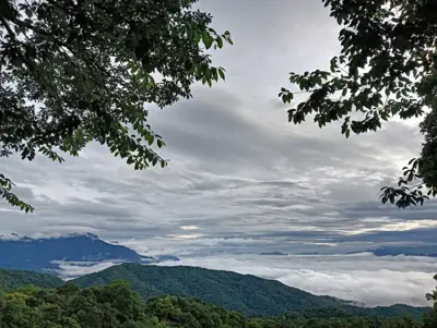 สวนลุงรัน & ลุงเหงี่ยม รูปที่ 10