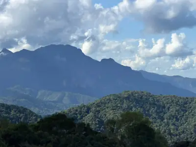 สวนลุงรัน & ลุงเหงี่ยม รูปที่ 6