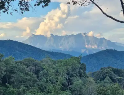 สวนลุงรัน & ลุงเหงี่ยม รูปที่ 8