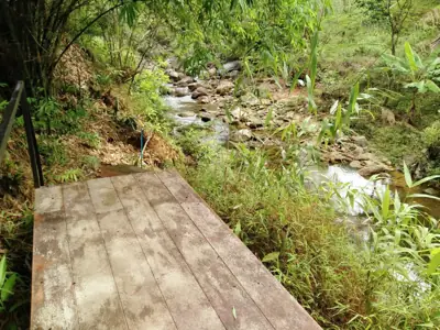 ลานกางเต็นท์ 4015 River Camp รูปที่ 1