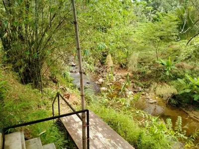 ลานกางเต็นท์ 4015 River Camp รูปที่ 10