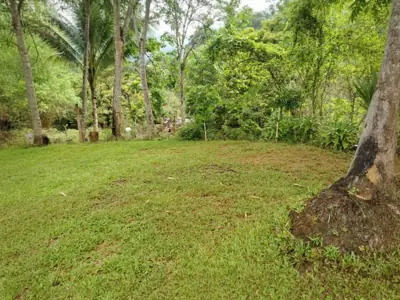 ลานกางเต็นท์ 4015 River Camp รูปที่ 3