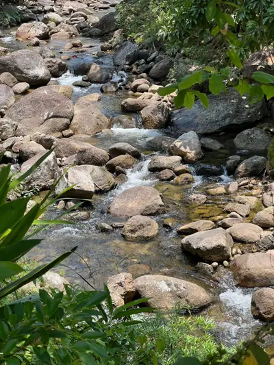 ลานกางเต็นท์ 4015 River Camp รูปที่ 5