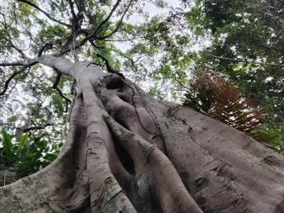 ลานกางเต็นท์ทรายขาว รูปที่ 4