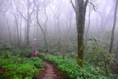 อุทยานแห่งชาติดอยอินทนนท์ รูปที่ 4