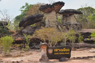 จุดกางเต็นท์ผาโสก อุทยานแห่งชาติผาแต้ม รูปที่ 9