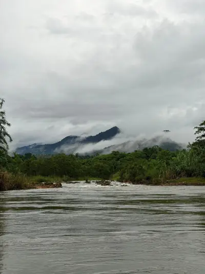 สวนพ่อเฒ่า รูปที่ 1
