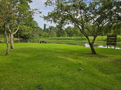 ลานกางเต็นท์ อุทยานแห่งชาติเขาสิบห้าชั้น รูปที่ 6