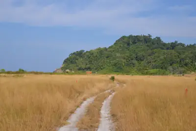 ลานกางเต็นท์น้ำตกโตนไพร รูปที่ 3