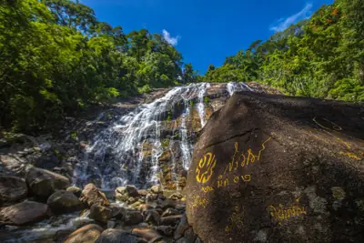 ลานกางเต็นท์อุทยานแห่งชาติบูโด-สุไหงปาดี รูปที่ 1