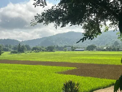 แก้วมา ฟาร์มสเตย์ เมืองปาน รูปที่ 7
